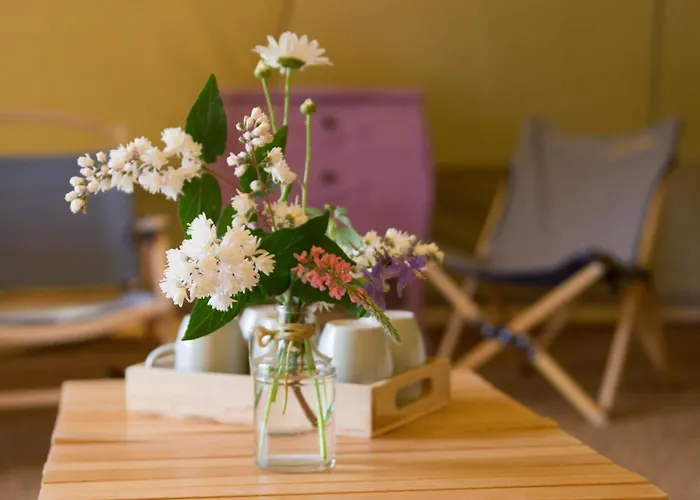 Belair Le Camping Camping Champagnac-de-Bélair