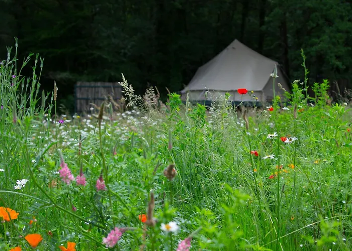 Belair Le Camping * Champagnac-de-Bélair
